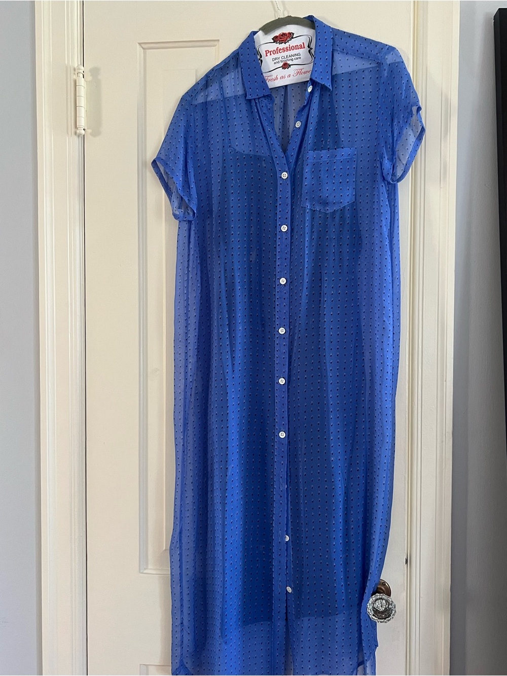 Steven Alan Sheer Maxi Shirt Dress in Blue Dot Print